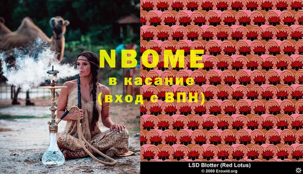 кокс Бородино