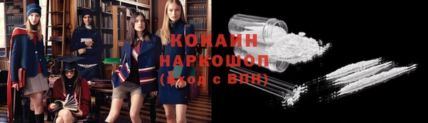 стаф Богданович
