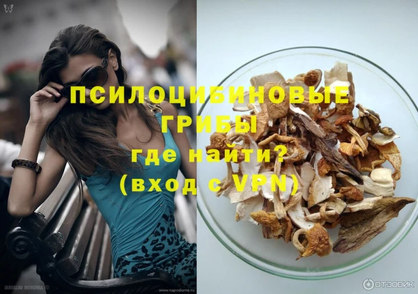 кокс Бородино