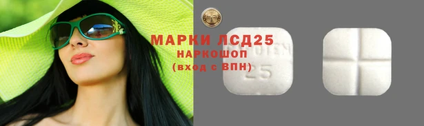 стаф Богданович