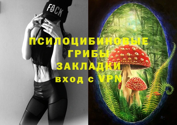 кокс Богородицк