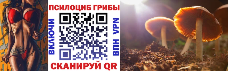 Псилоцибиновые грибы ЛСД купить Демидов